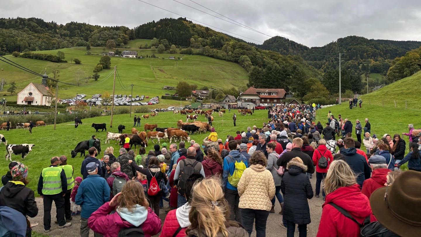Hauptorchester Wettelbrunn